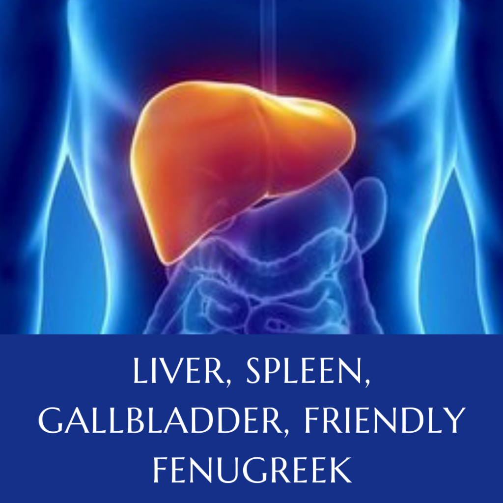 Liver, Spleen, Gallbladder, Friendly Fenugreek